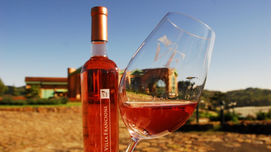 Explore a Rota dos Vinhos de Santa Catarina e viva uma experiência única!