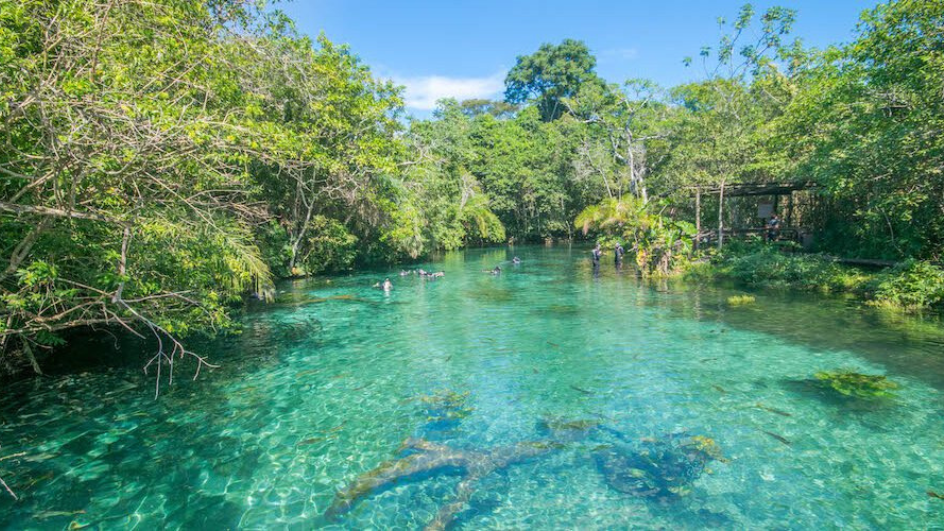Bonito no Pantanal: Viva a natureza como você nunca viu — com a Lituânia Turismo 