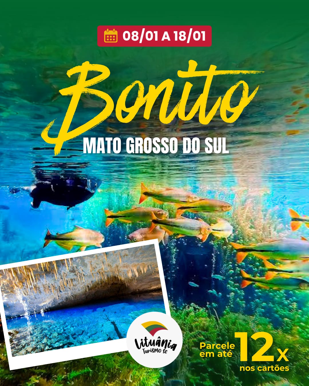 Bonito Janeiro de 2027