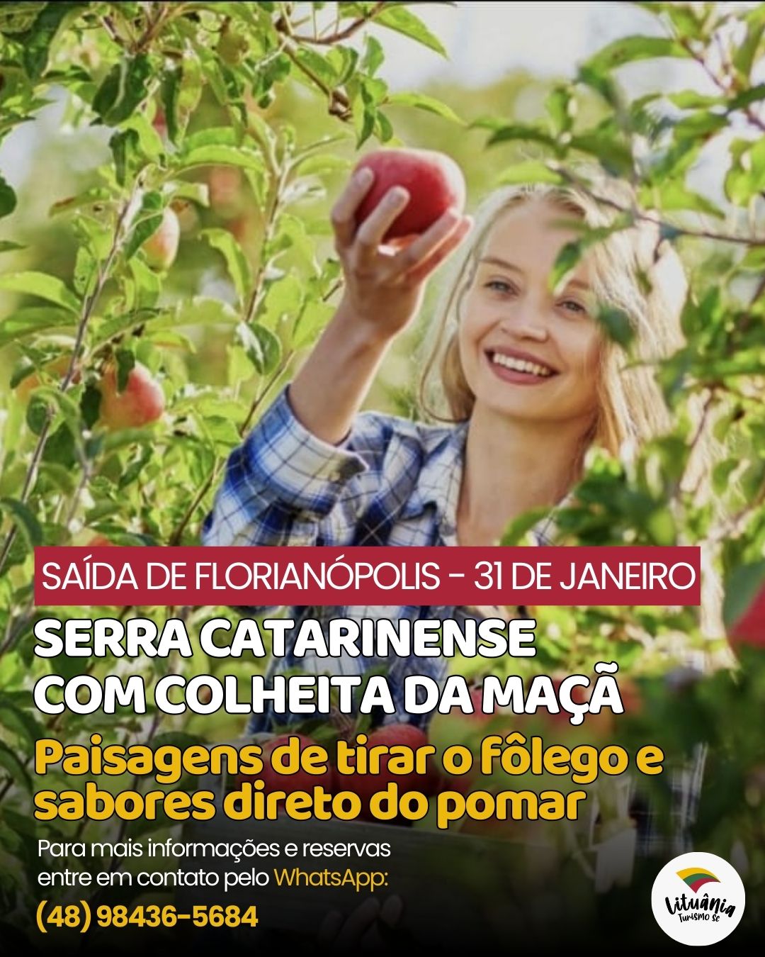 Serra do Corvo Branco + Colheita de Maçã em Urubici